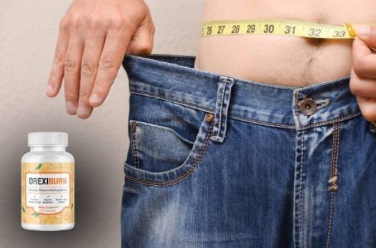 Explanation of how the formula supports metabolic processes and motivation for physical activity